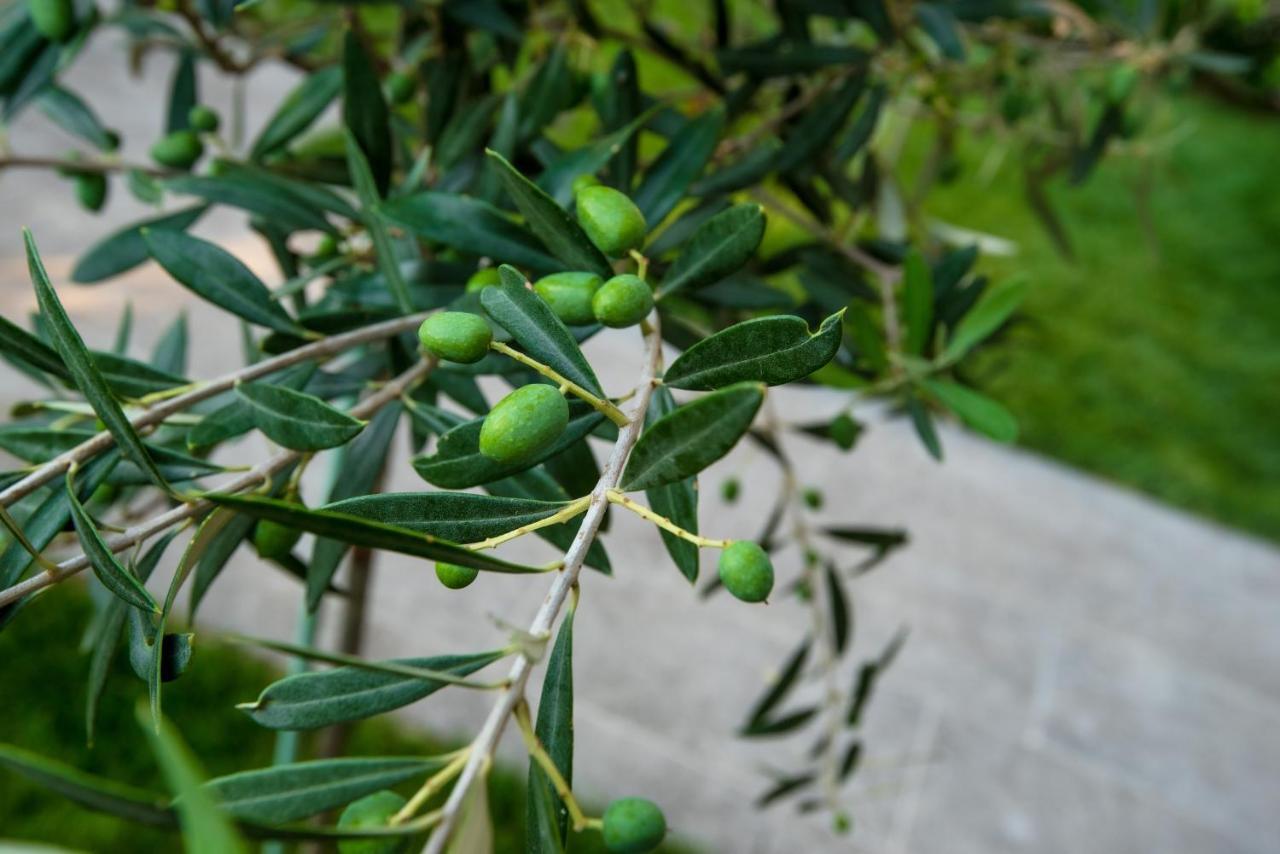 דירות Peraía Olive 103 מראה חיצוני תמונה